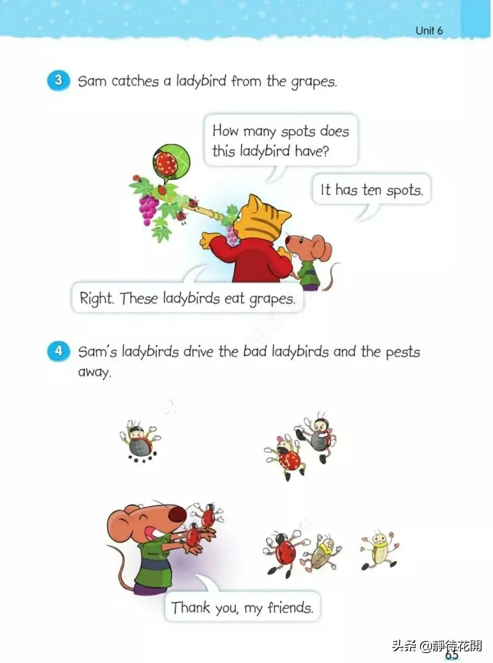 小学五年级牛津版英语下册,牛津译林英语五年级下册公开课