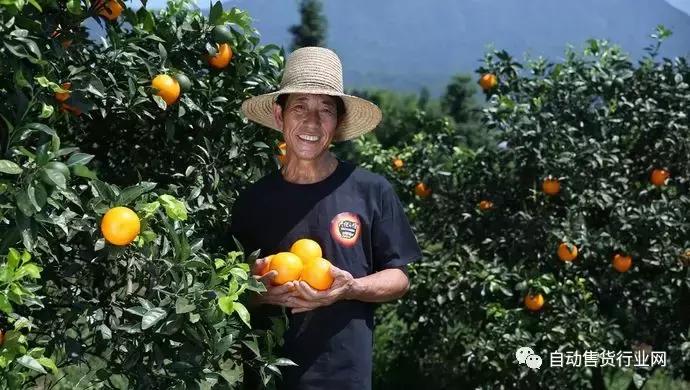 橙汁售卖机,自动鲜榨橙汁售卖机多少钱一台