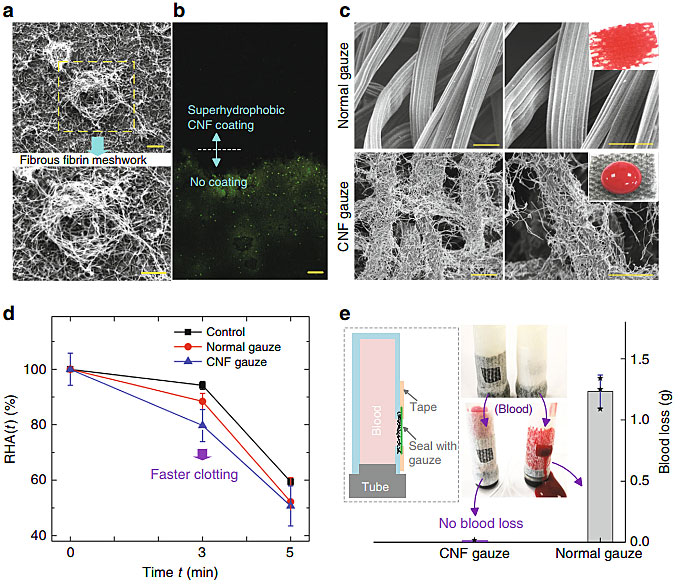 医用防粘连纱布,医用即溶止血纱布图片