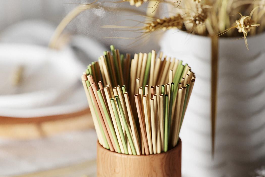 爱护地球环保主题手工,地球环保设计