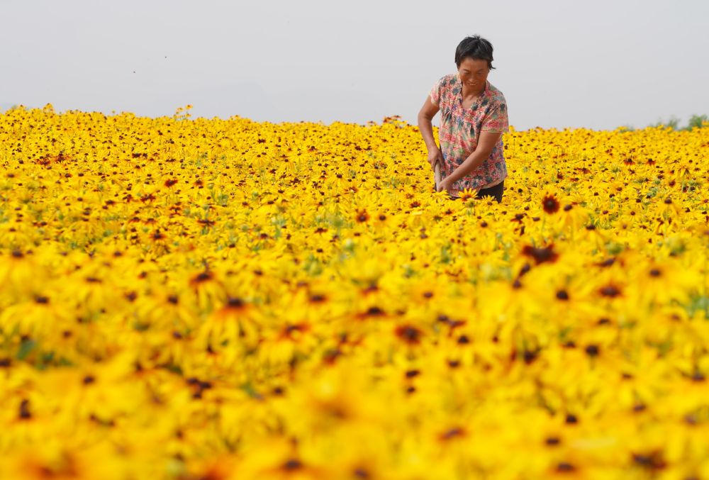 中国邢台头条,邢台新媒体头条