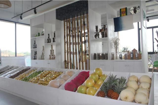 农村电商振兴创意视频,互联网创新创业乡村振兴项目点子