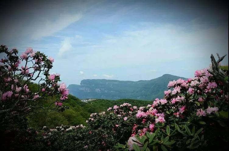 陕西山间旅游景点,陕西十大古镇旅游景点