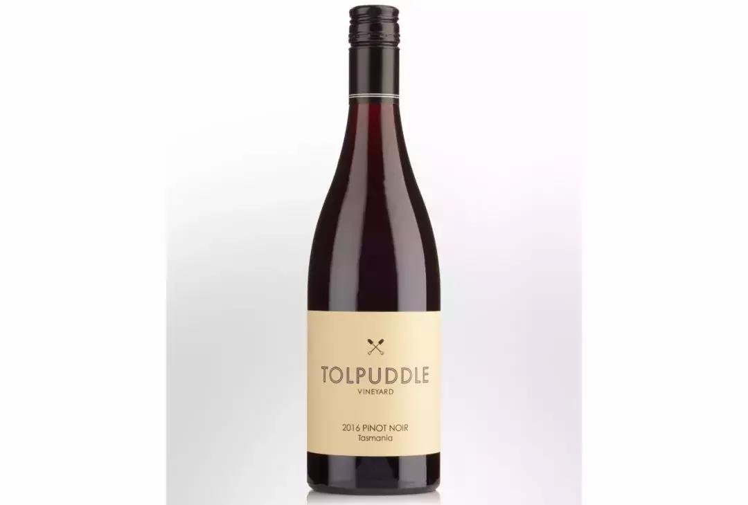 js葡萄酒榜单,权威的酒评家