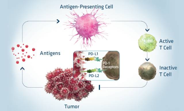澳洲天价进口药,70万一针的救命药澳洲仅需184元