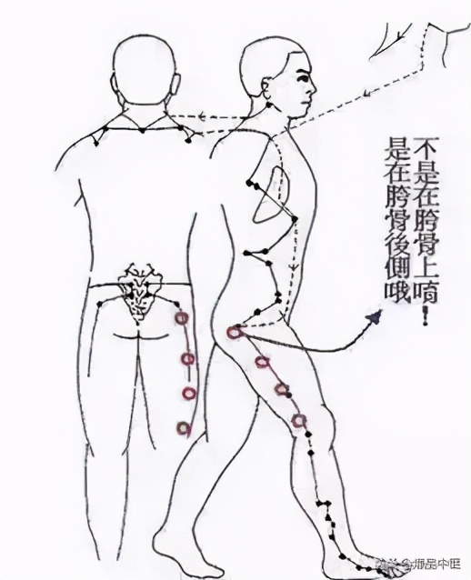 中医经络平衡介入疗法,经络是如何调节人体阴阳平衡的