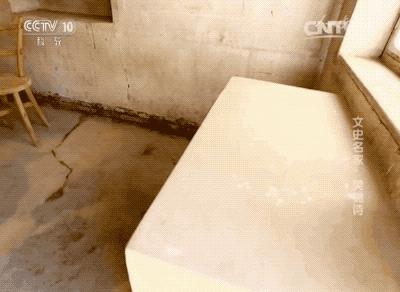 深居大漠57年，81岁老人获奖2000万，她做了什么？