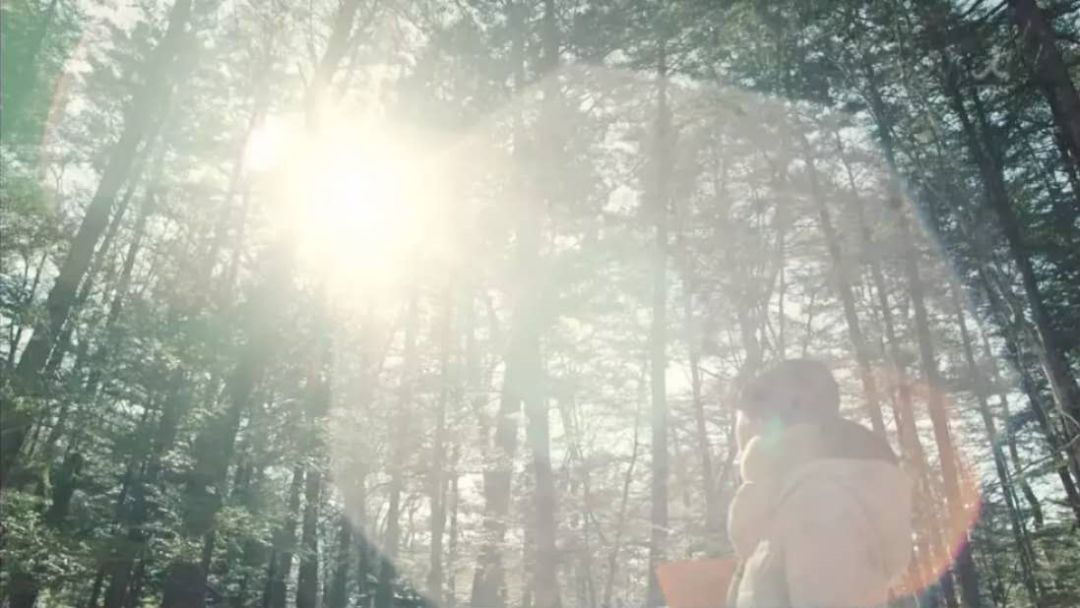 买房故事完整版,买房的故事500字