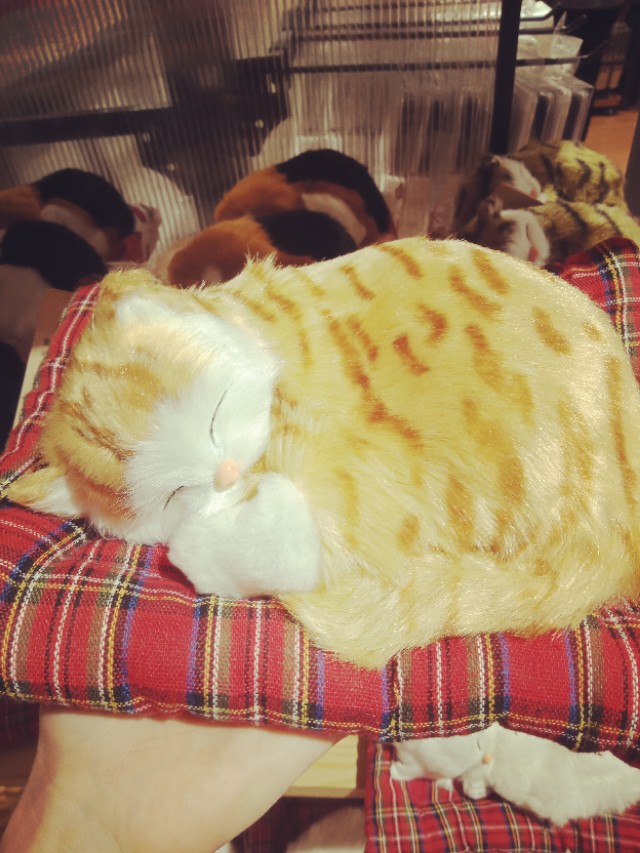 国货最好用的清爽型爽肤水,性价比高的爽肤水十大品牌