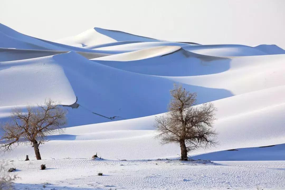 冬天的阿勒泰冰雪,冬天的雪冰雪奇缘
