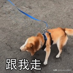 复古跑鞋性价比高,复古跑鞋大测评