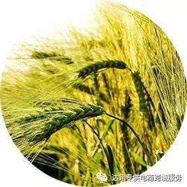 亚马逊站外deal网站推广教程,怎么推广自己amazon产品