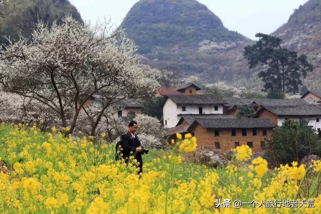 广西哪些城市是靠一碗粉火起来的,凭一碗螺蛳粉征服世界