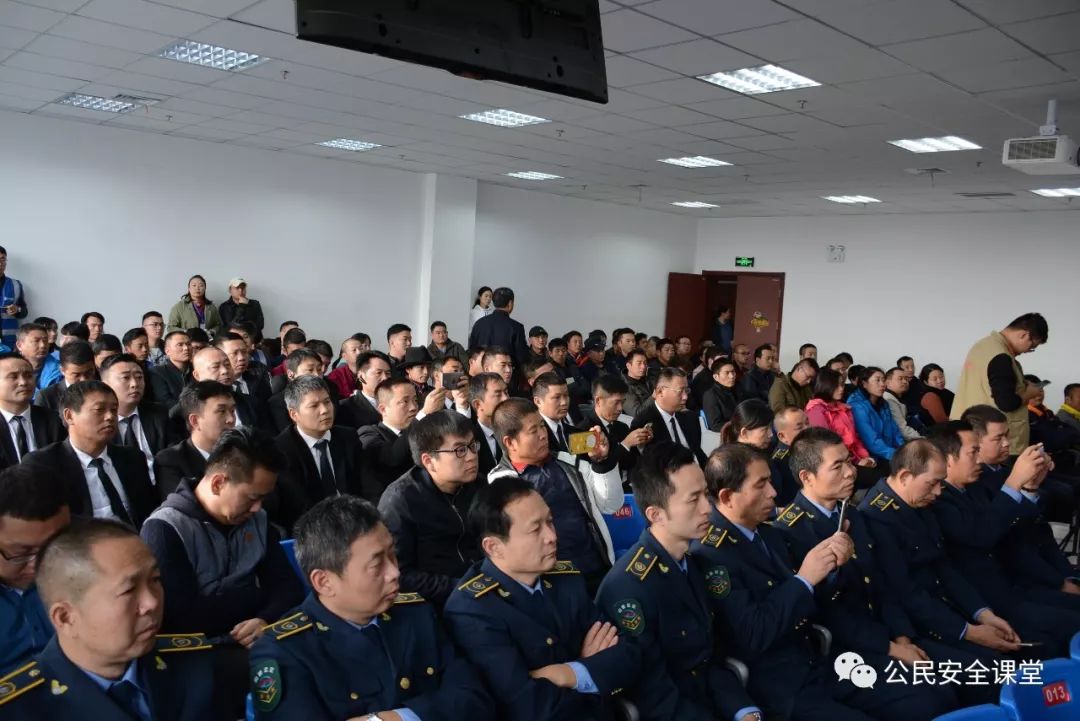 开车撞到宠物如何解决,开车撞到宠物怎么处罚视频