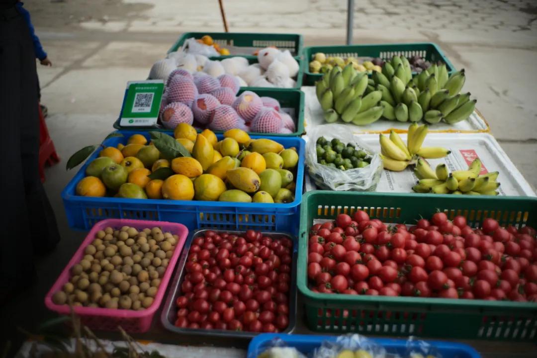 在海南岛最霸气的渔港码头,海南十大渔港码头