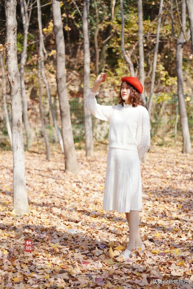 常熟网红枫林秋意盎然，游客络绎不绝，百年老店五道菜肴165元