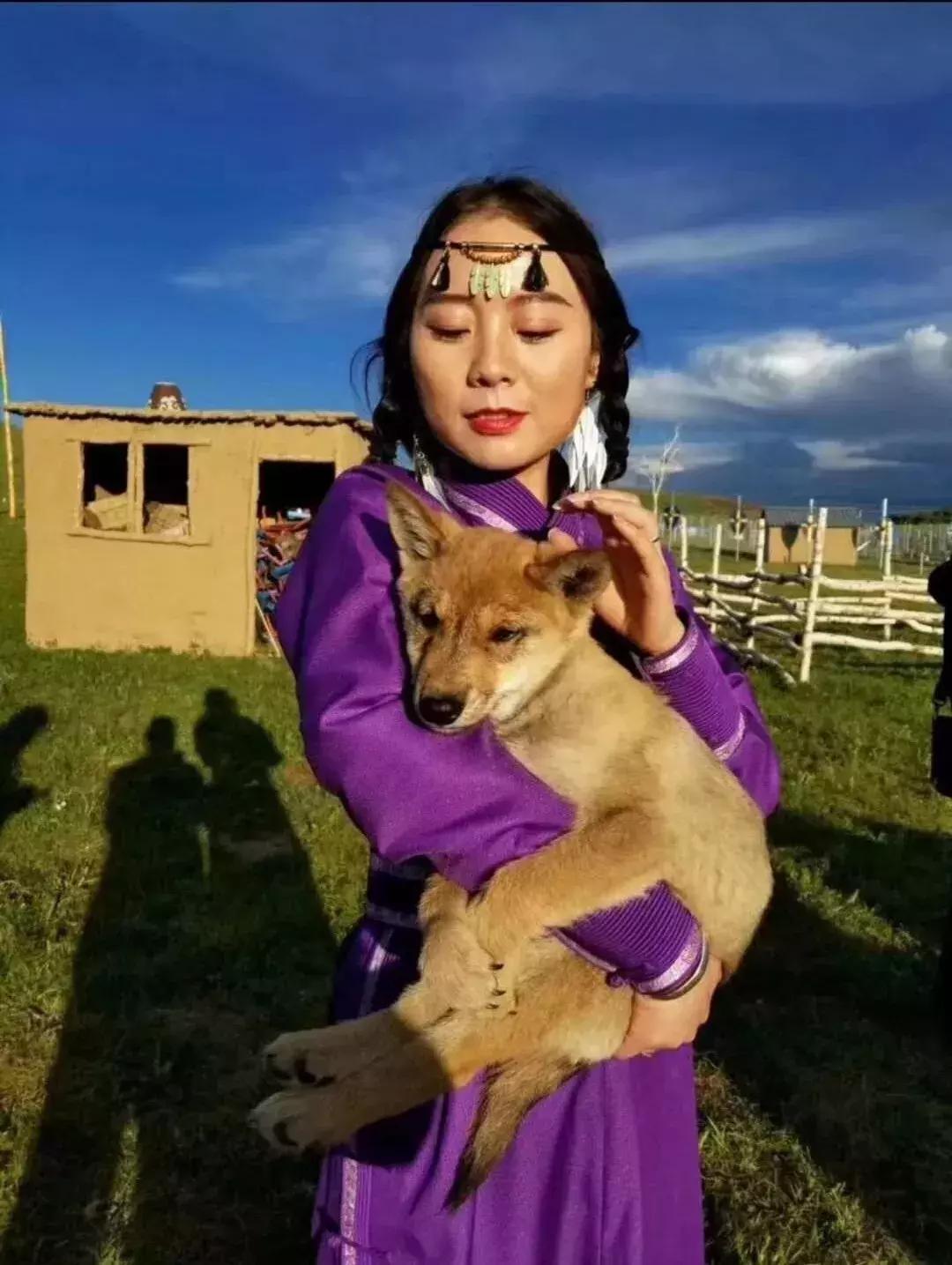 草原天路自驾游攻略最新,天路塞罕坝乌兰布统