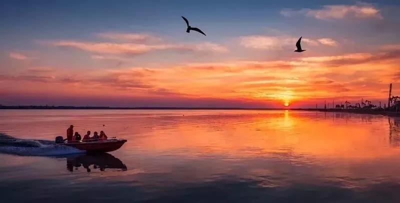 江苏油田的基本概况,华东油田和江苏油田