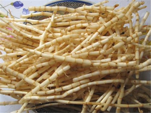 小时候常见又叫不上名的动植物，你们老家怎么说？满满的童年回忆