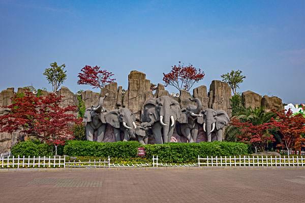 驯兽师被大象踩死事件,驯兽师被大象踩死