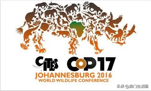 海关禁止带什么,澳门海关入境携带物品最新政策