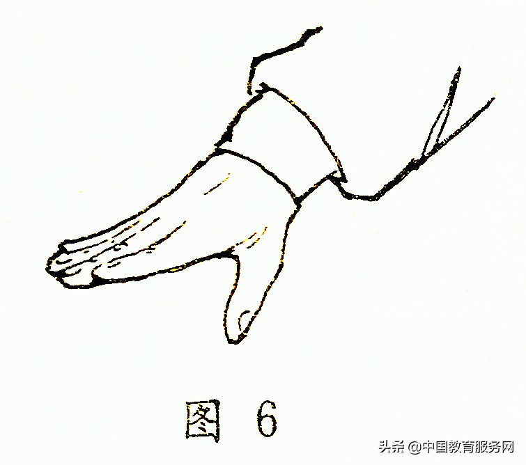 九宫旋转十二桩法,九宫八卦如何旋转