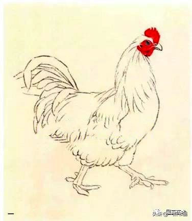 鸡的写意画法,小写意鸡的画法大全