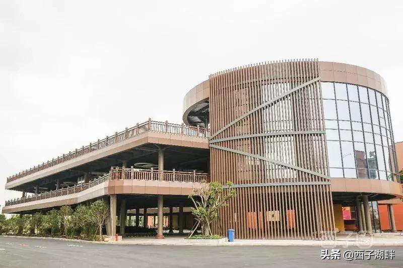 惠州镇隆荔枝什么品种,惠州镇隆自摘荔枝在哪