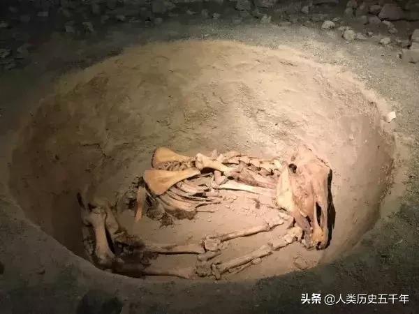 有历史文化的交河故城,交河故城西域古国遗迹