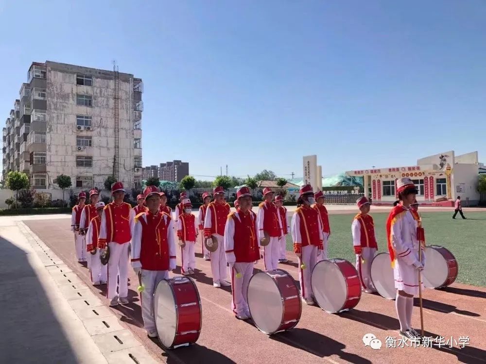 社团活动小学兴趣小组,新华小学三年级参加兴趣小组