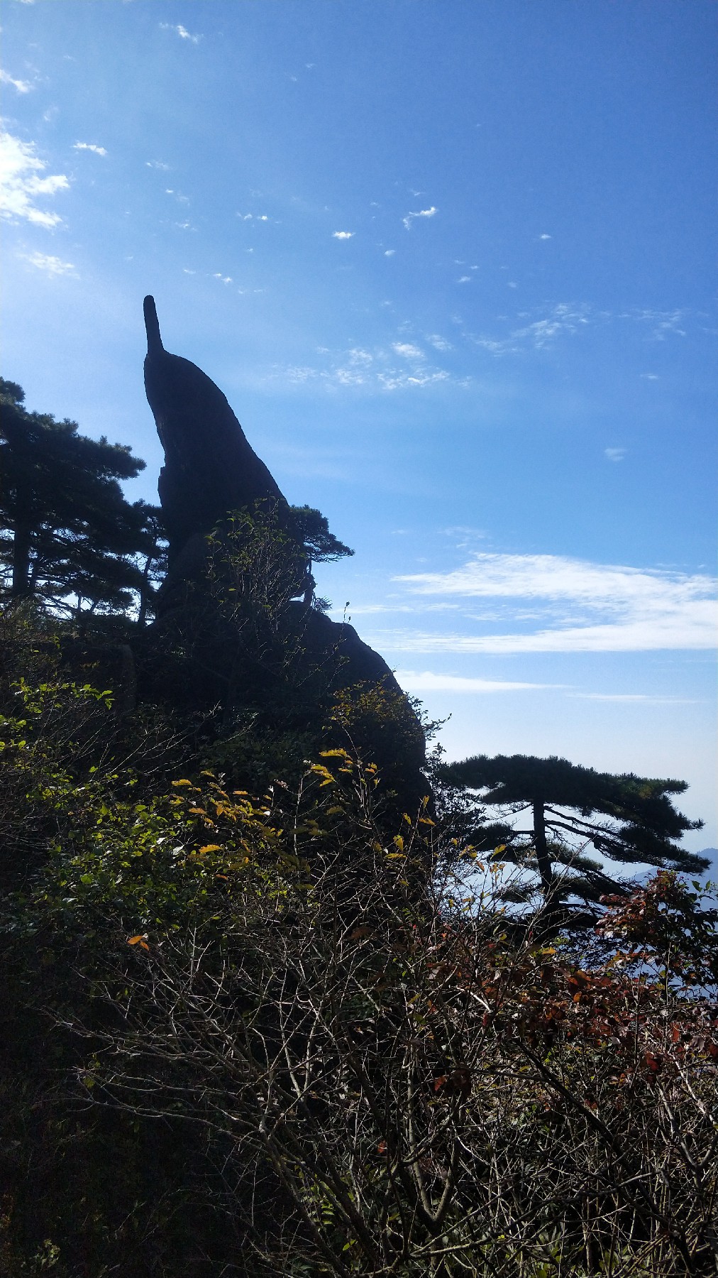 灏戝勾鏃剁殑姊︽兂榛勫北,瀛︾敓鏃朵唬姊︽兂