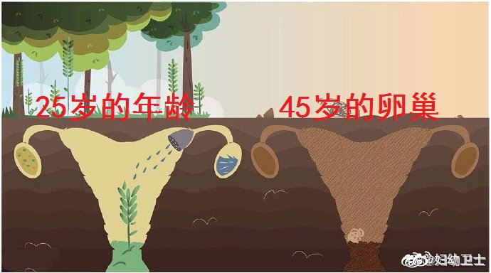 保巢口诀——天下女性的福音