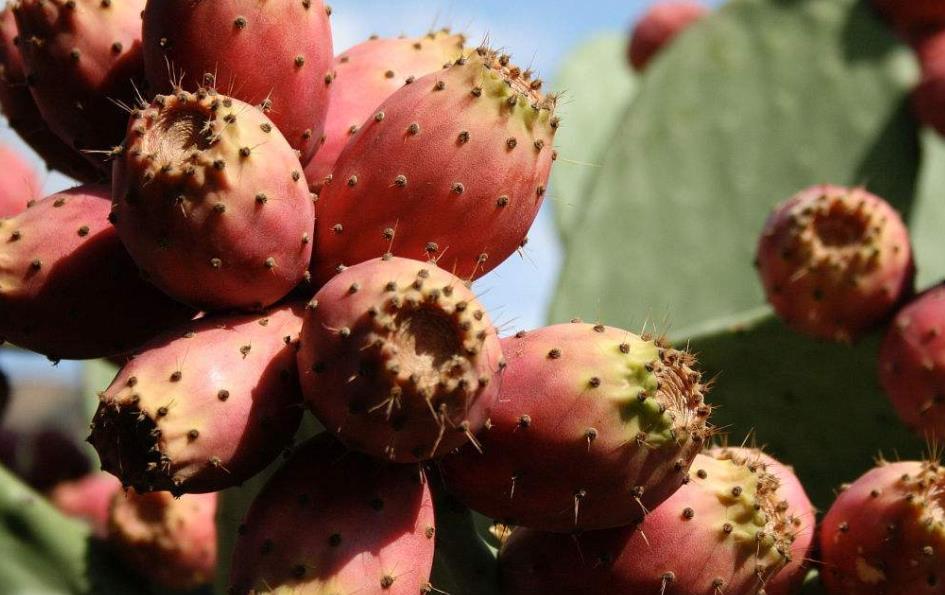 做人不要太锋芒毕露学会低调处事,为人处世只要懂得这三条规则