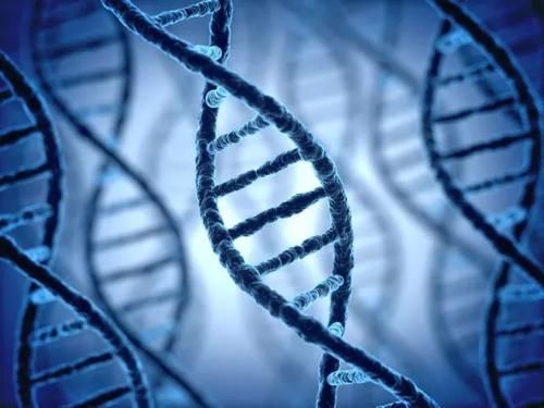 女人生理性体毛过旺是什么原因,体毛旺盛除了天生的还有什么原因