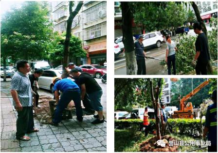 营山县公用事业局局长,营山县公用事业管理局电话