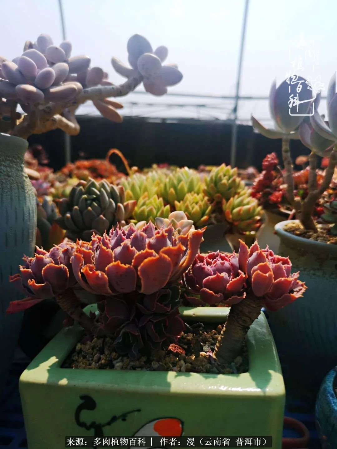 风过留痕讲的啥,风过留痕朗诵