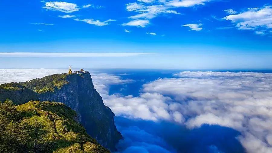 峨眉山有什么灵猴,峨眉山灵猴在哪