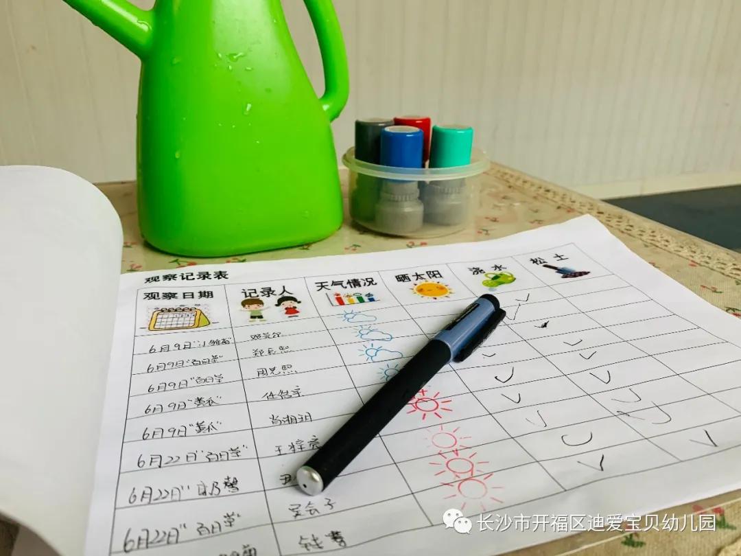 诺亚舟幼儿园,诺亚舟幼儿园里欢乐多