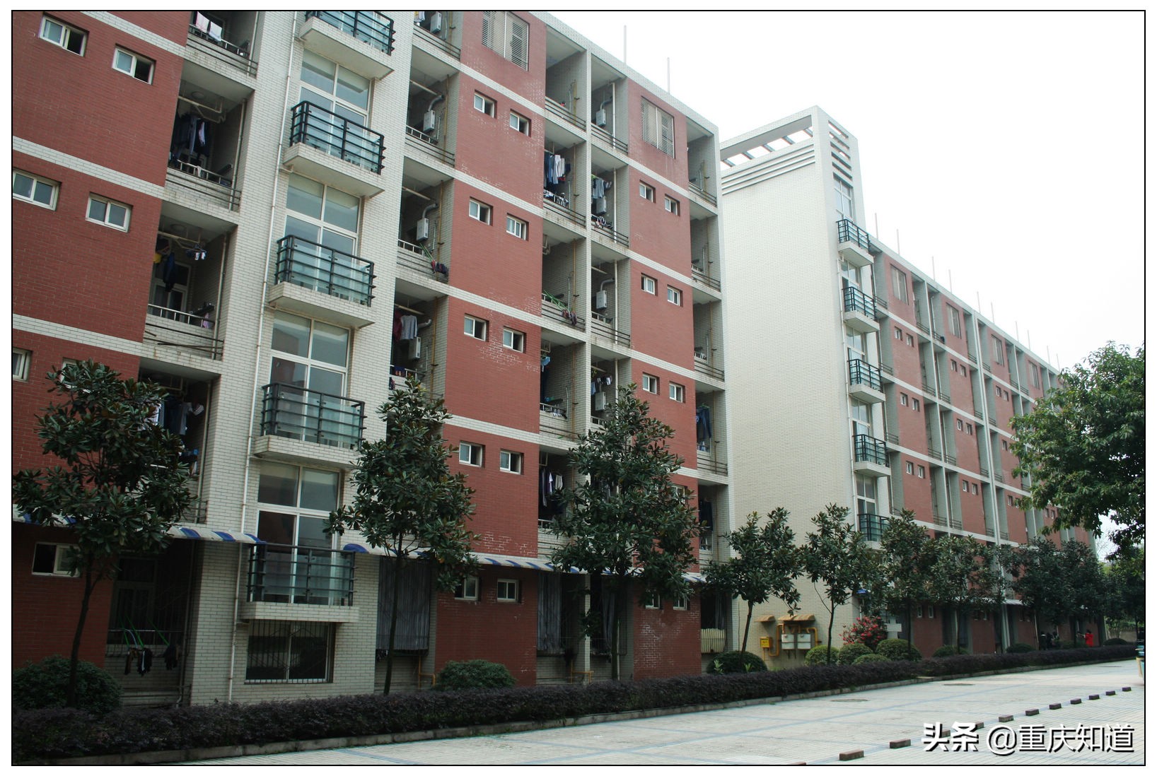 重庆一中名校联合中学,重庆中学十大名校