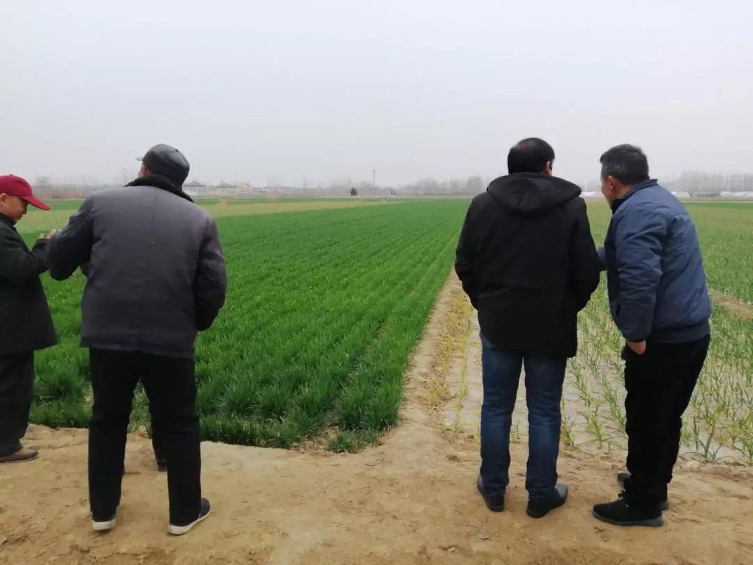 区镇疫情网格化管理安排表,防疫不松懈网格守平安