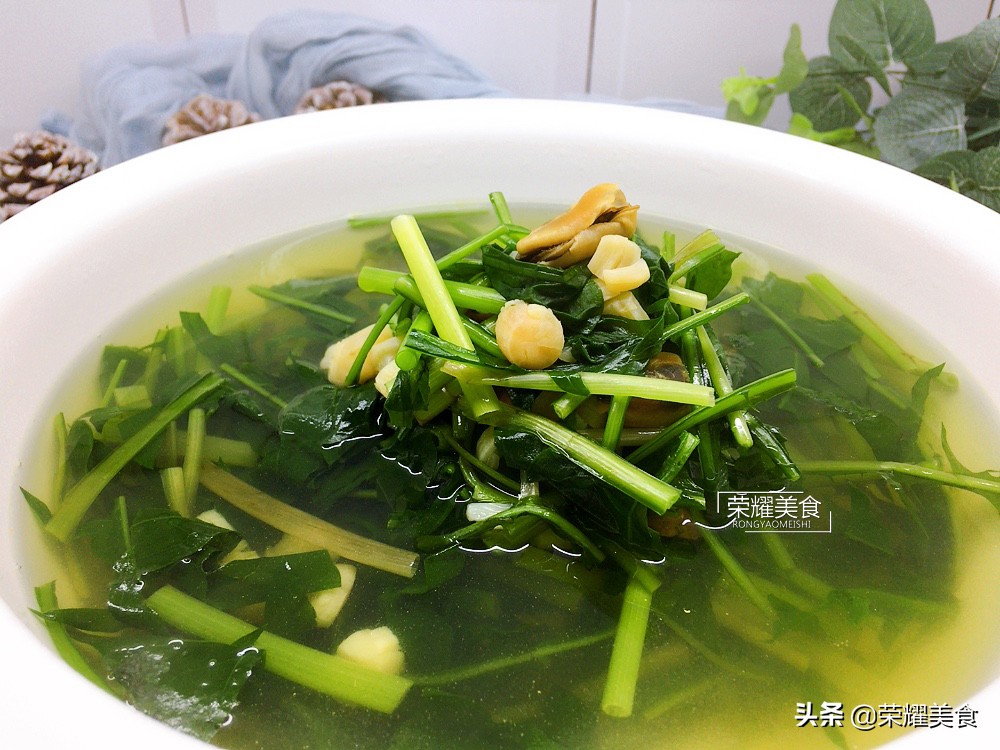 蒲公英野菜什么人不能吃,蒲公英是清热下火的吗