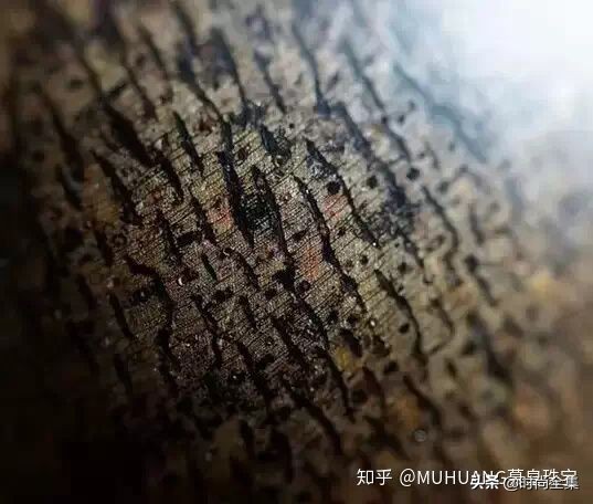 伍佰艺沉香最新消息,去哪里可以辨别沉香的真伪