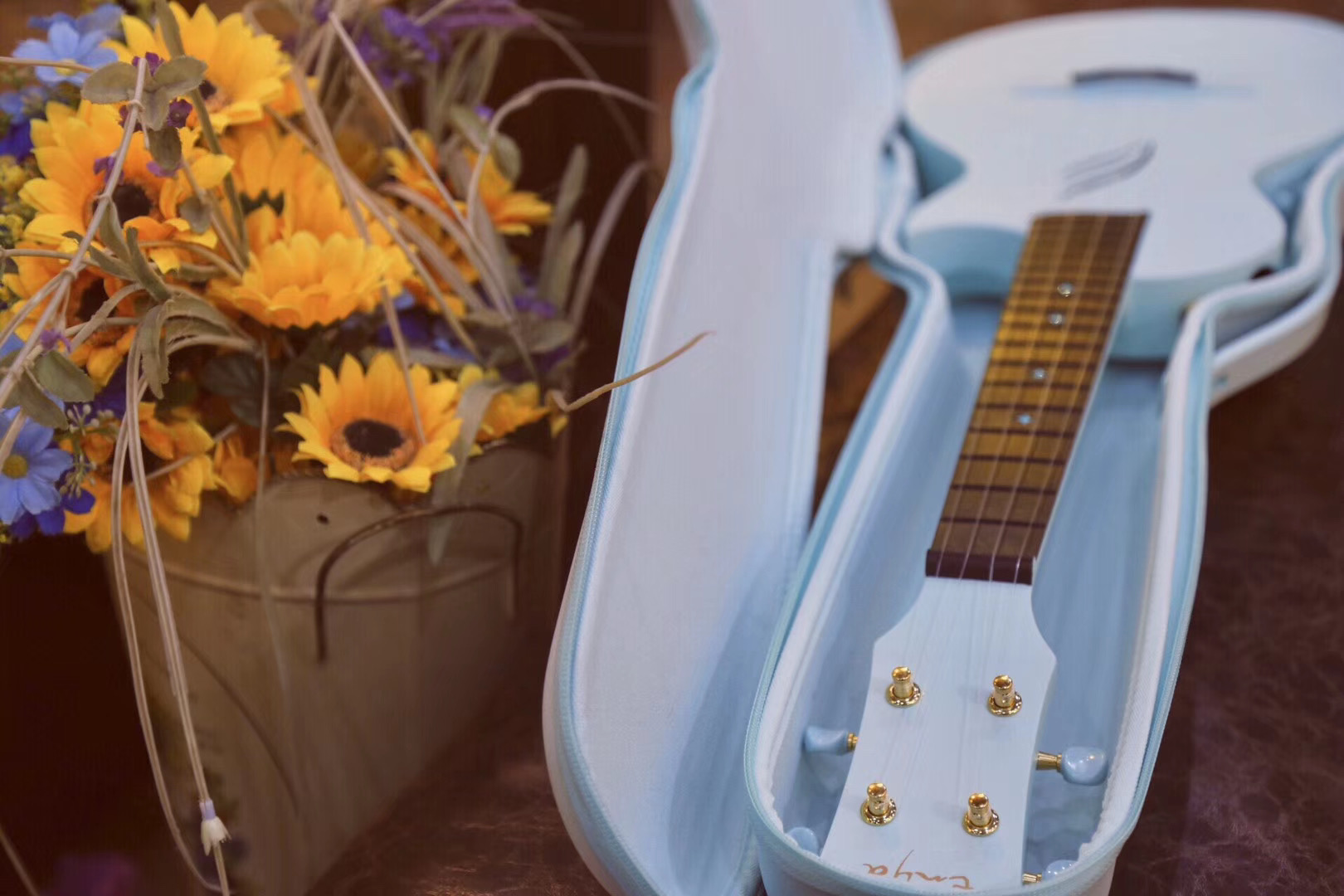 oneday尤克里里新手,day1自学心得