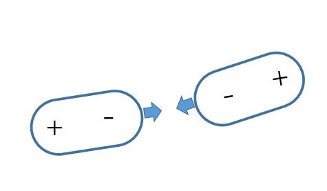 壁虎为什么可以飞檐走壁蚂蚁森林,什么壁虎可以飞檐走壁