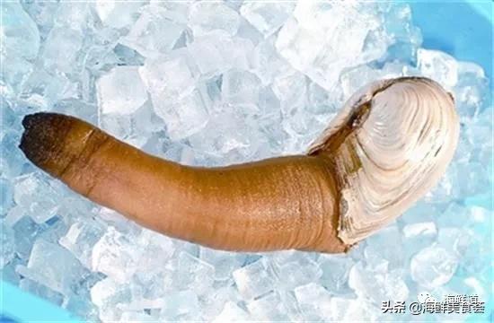 102种海鲜,营养丰富的海鲜有哪些品种