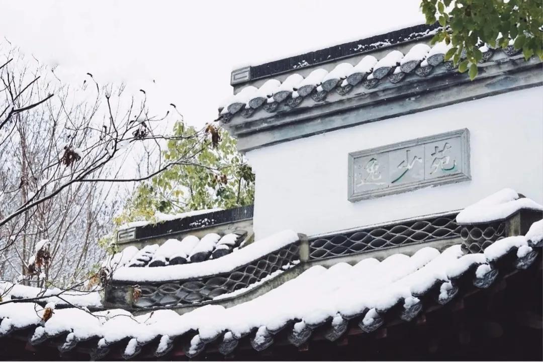 金陵小学和南师附小哪个好一些,金陵小学仙林湖校区一学期学费