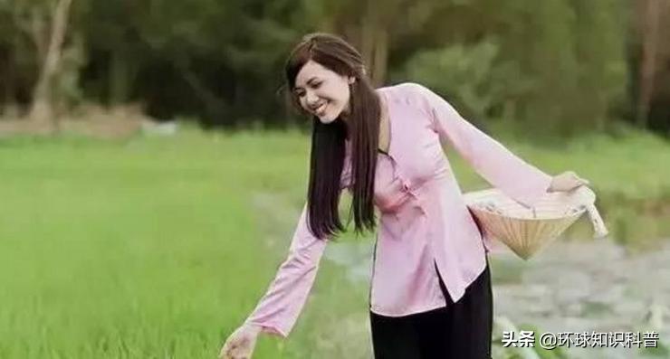 越南的奇闻奇事,越南趣闻