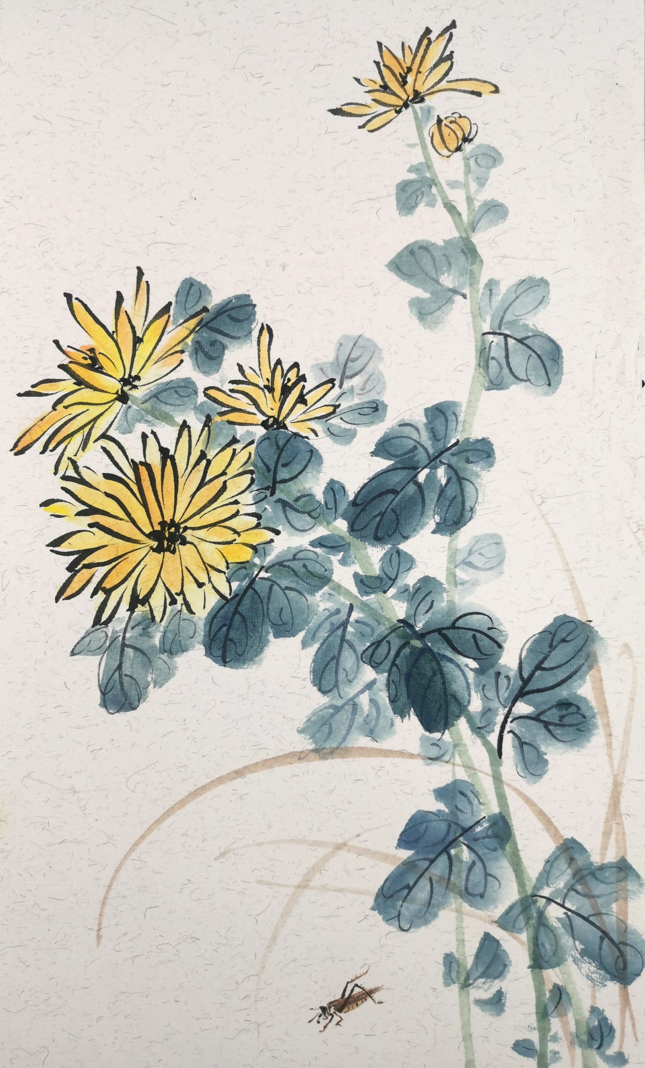 菊花写意的画法步骤图,卷叶菊花的写意画法