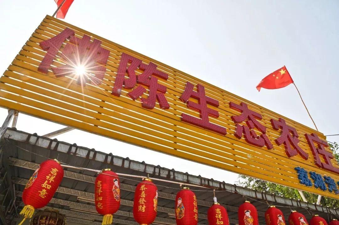 4000m²「平价海鲜」，还藏了个老广早茶，鸡煲、羊肉、虾蟹