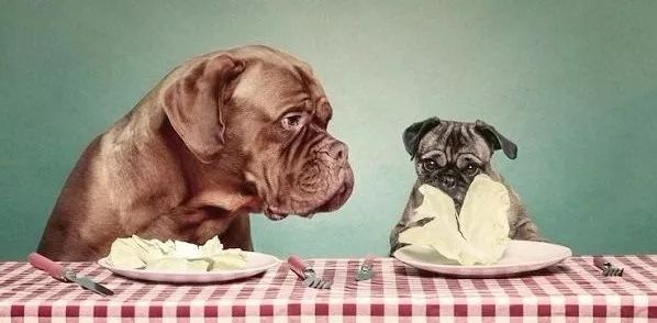 鱼油三大坑,警惕鱼油的三大误区